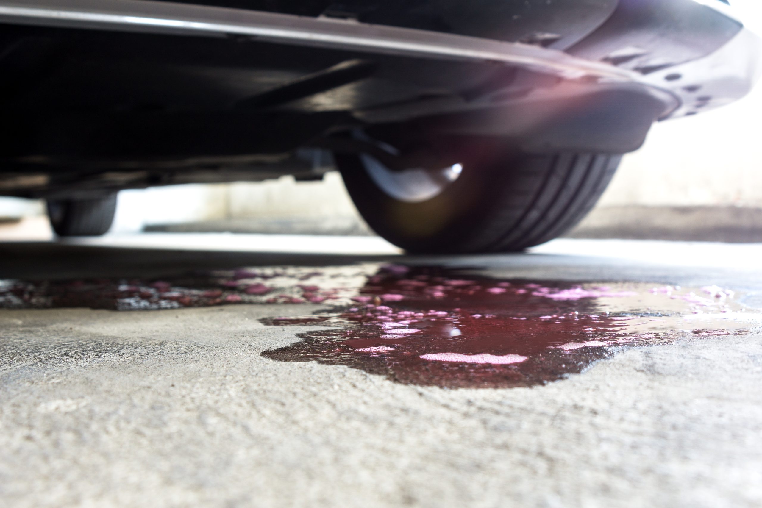 Chevrolet Engine Oil Leak